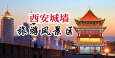 鸡巴肏美女中国陕西-西安城墙旅游风景区